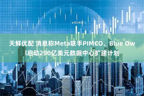 天鲜优配 消息称Meta联手PIMCO、Blue Owl启动290亿美元数据中心扩建计划